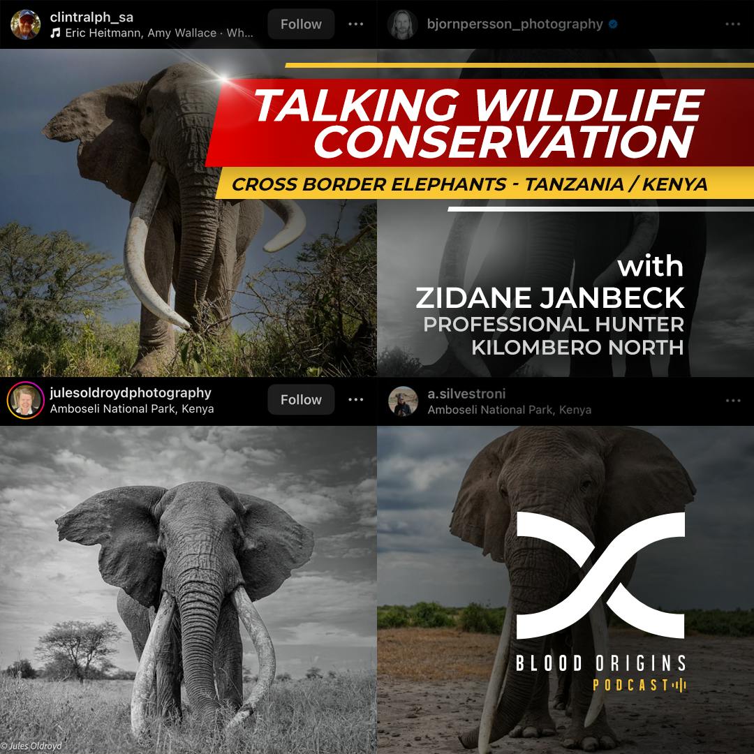 Episode 473 - Zidane Janbeck || The Elephants of Tanzania’s Enduimet Area