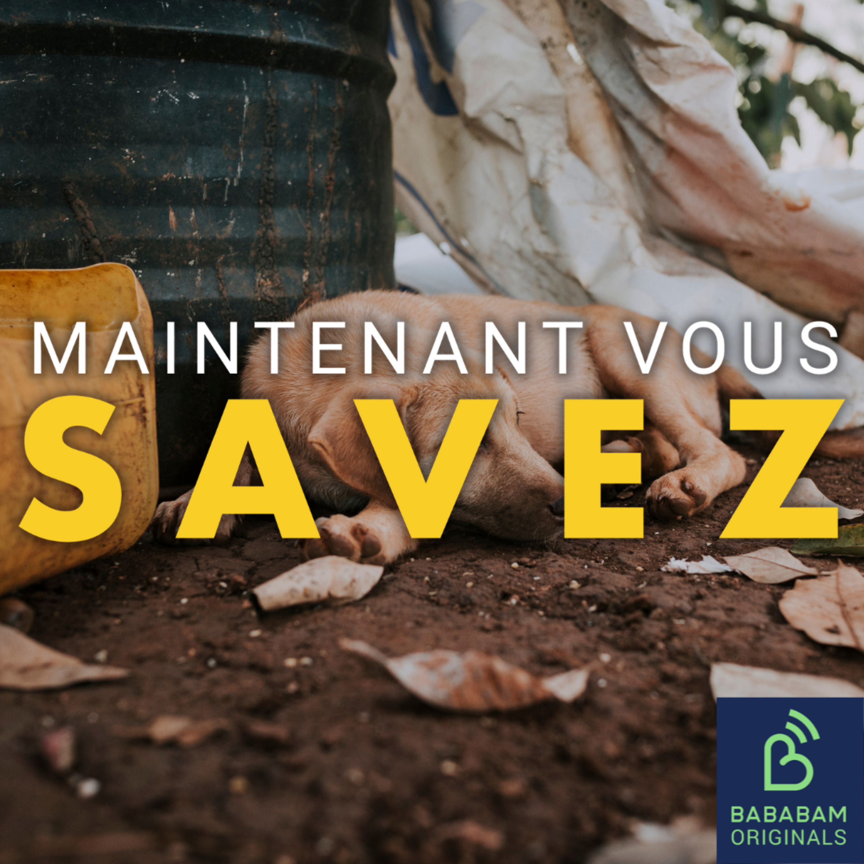 Comment repérer les signes de maltraitance animale ?