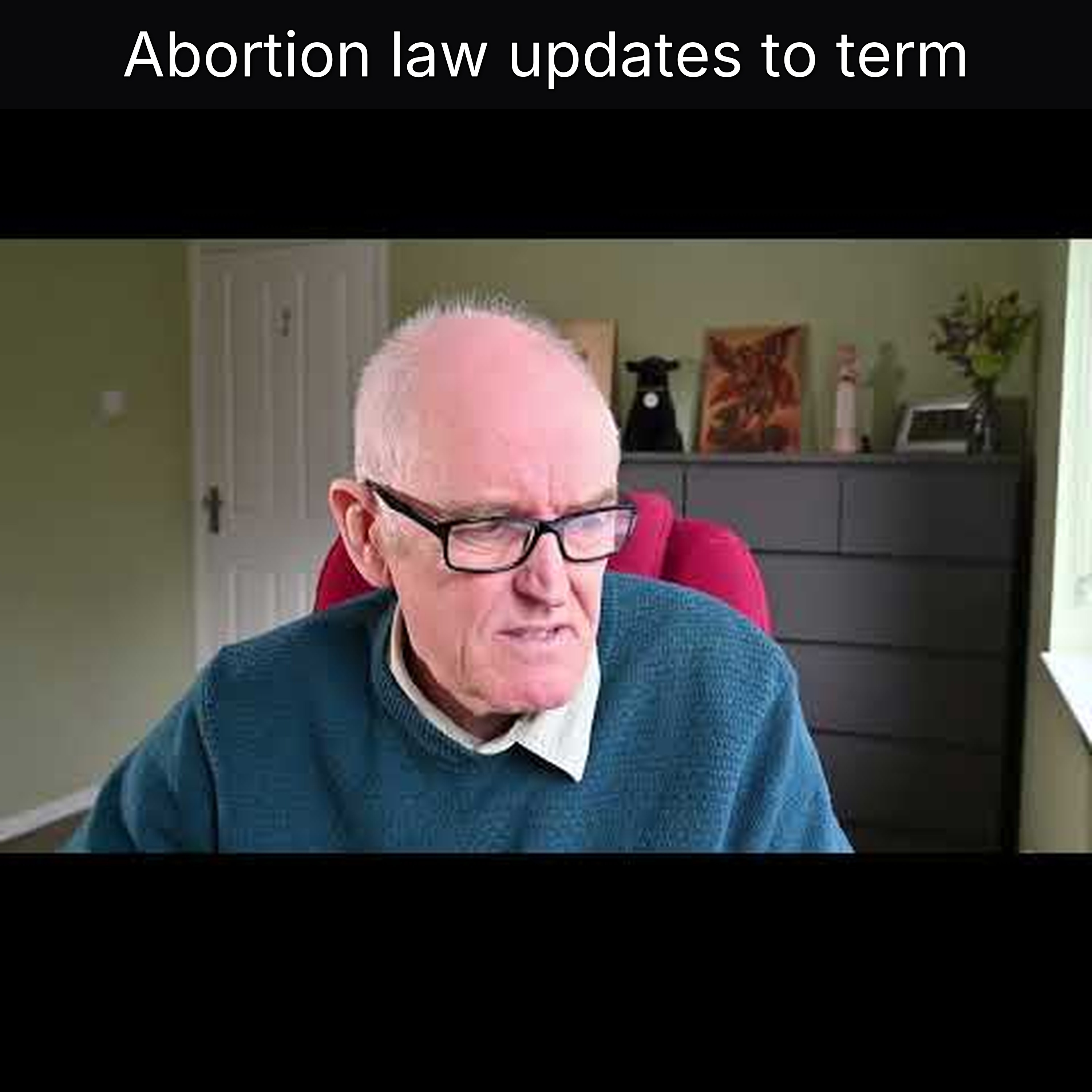 Abortion law updates to term