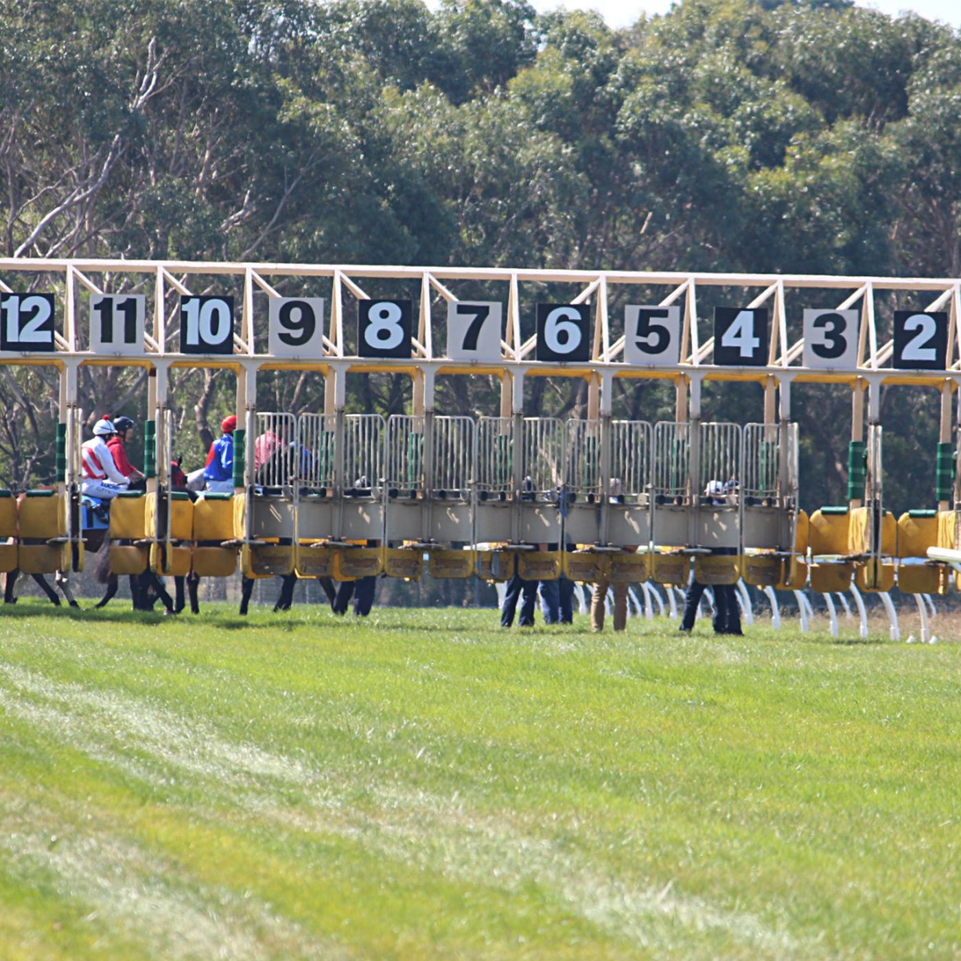 Balnarring RC Terry Mulcahy chats to Andrew Kuuse re #AustraliaDay Races episode artwork