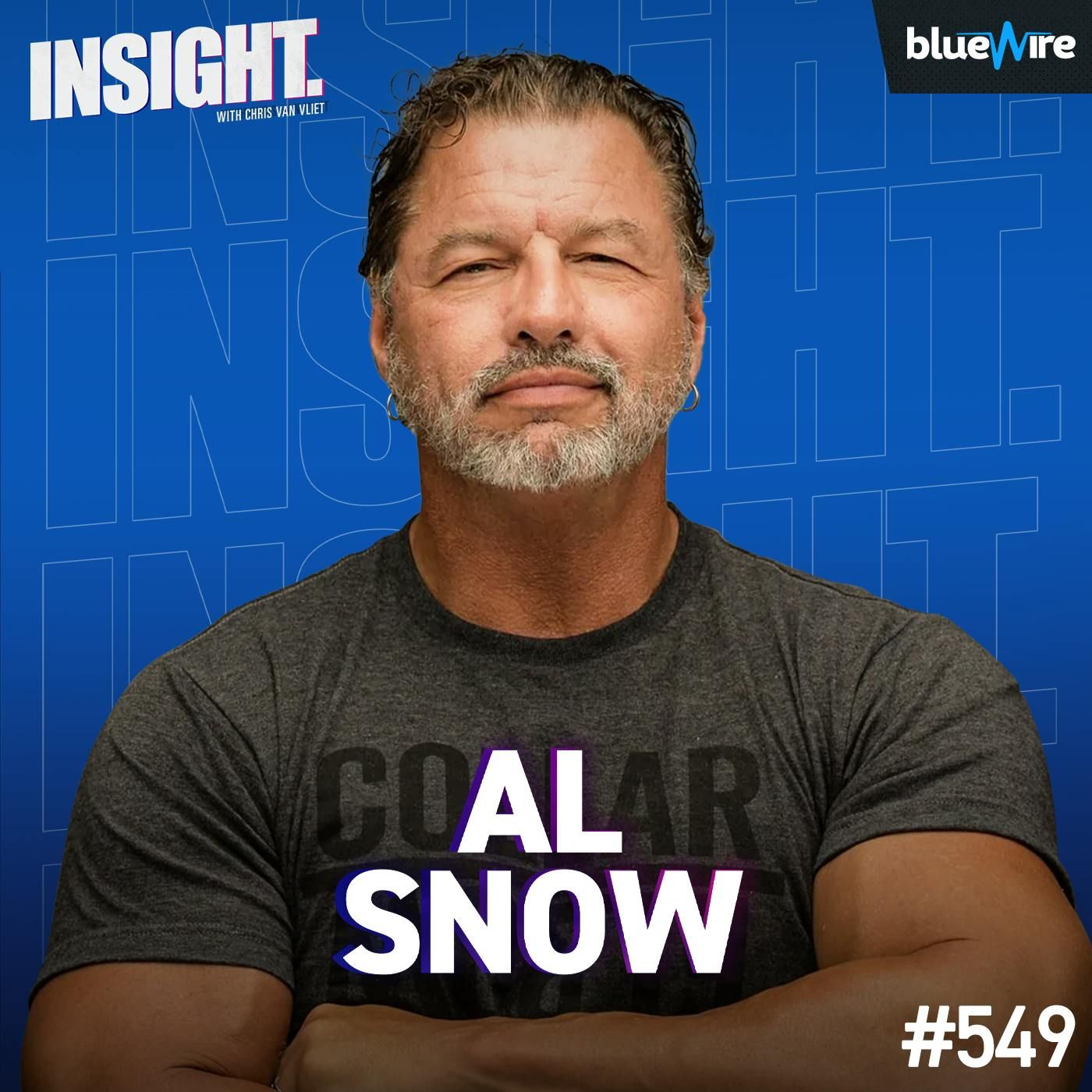 Al Snow: 'Wrestlers' On Netflix, "What Does Everybody Want?", Mick Foley Friendship, OVW