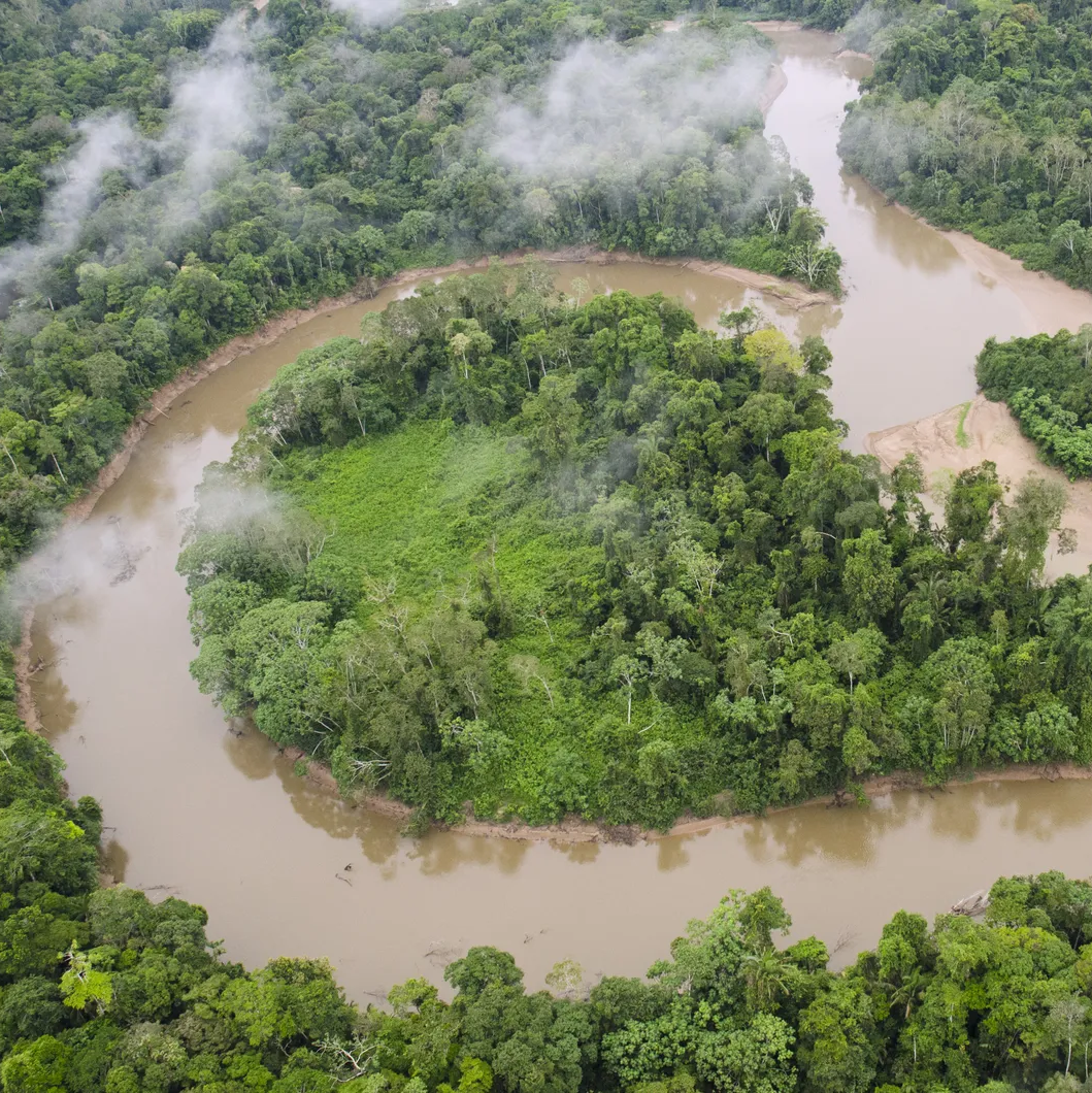 Amazon Visions: Solutions for Saving the Lungs of the Planet