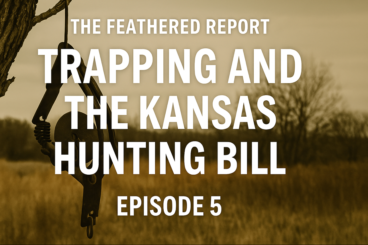 The Feathered Report: Trapping, Predators, and the Kansas Veto episode artwork