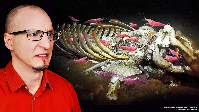 A mysterious undiscovered creatures found in deep-sea volcanos