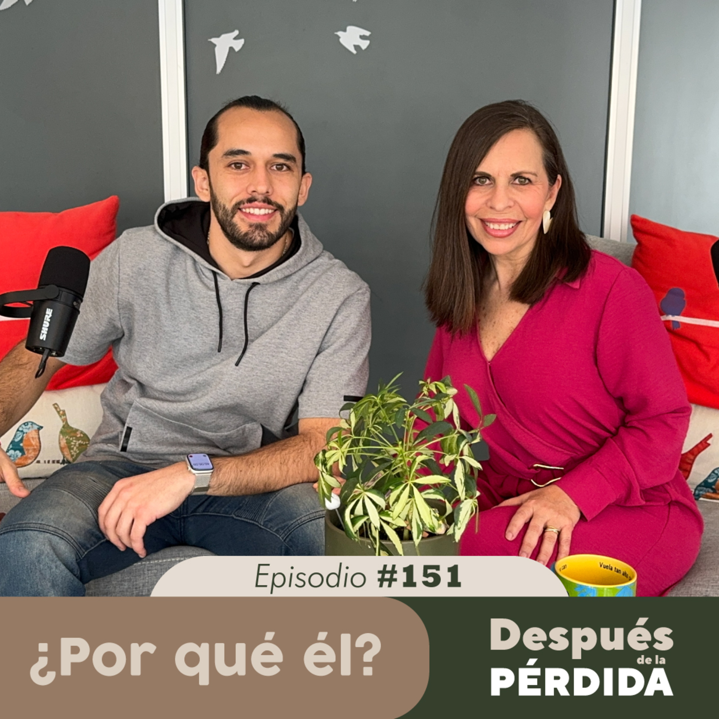 Portada de Después de la pérdida