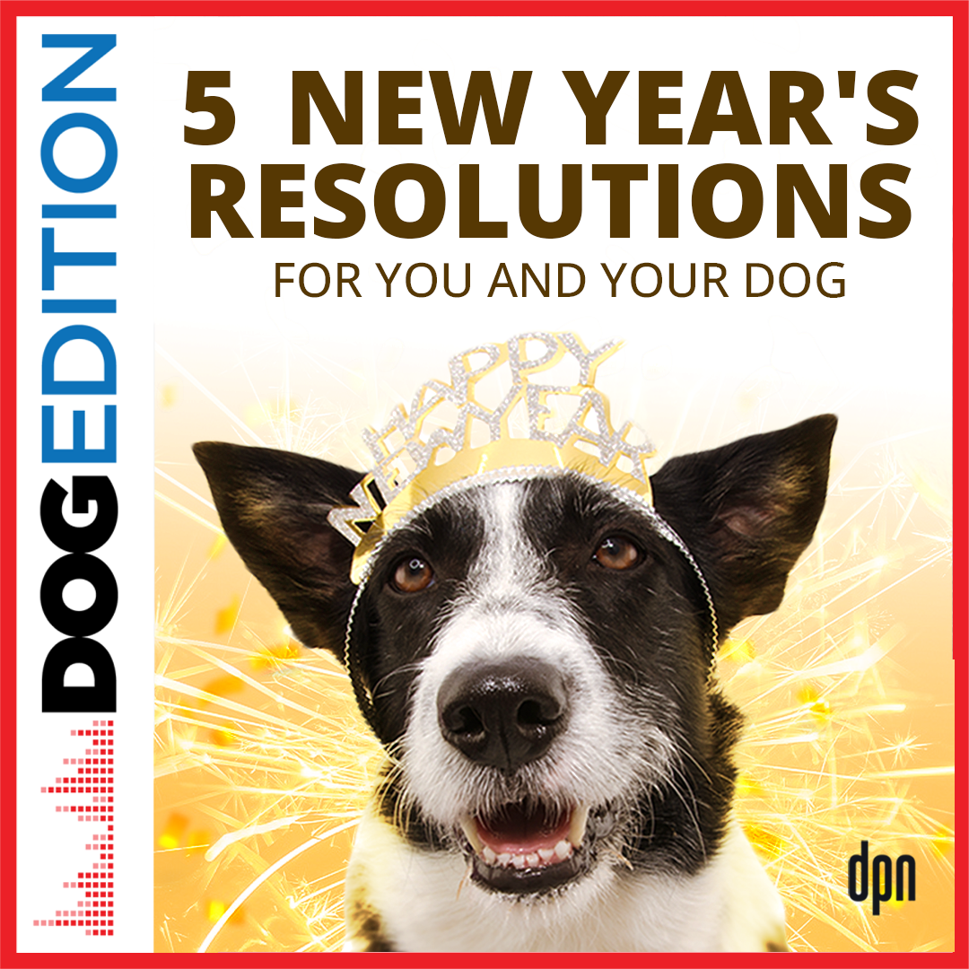 5 New Year's Resolutions for You and Your Dog | Dog Edition #79