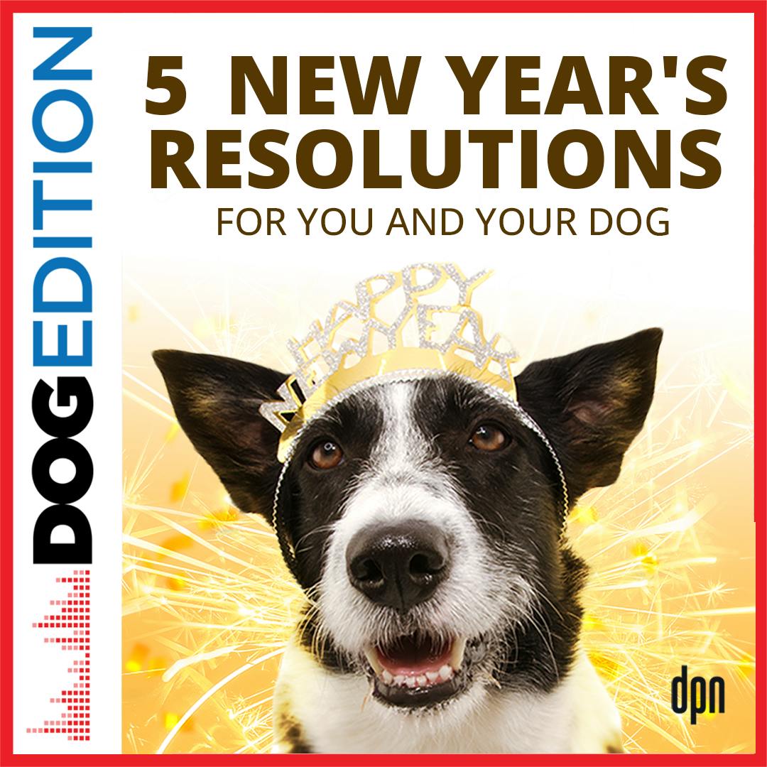 5 New Year’s Resolutions for You and Your Dog | Dog Edition #79