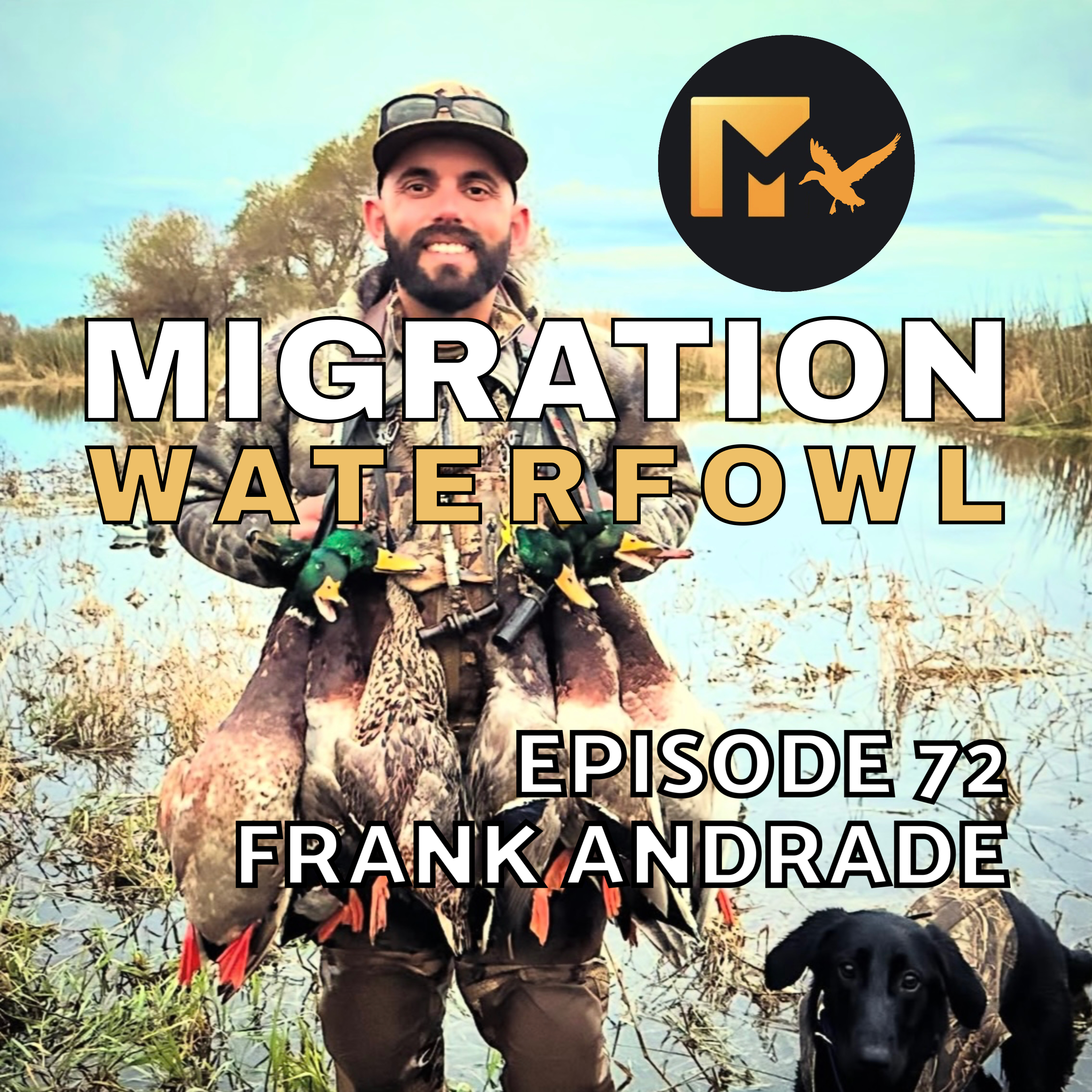 The Migration Waterfowl Podcast
