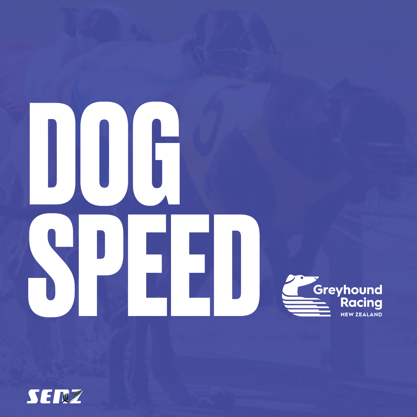 Greyhound Trainer Dan Roberts (14/10/22) episode artwork