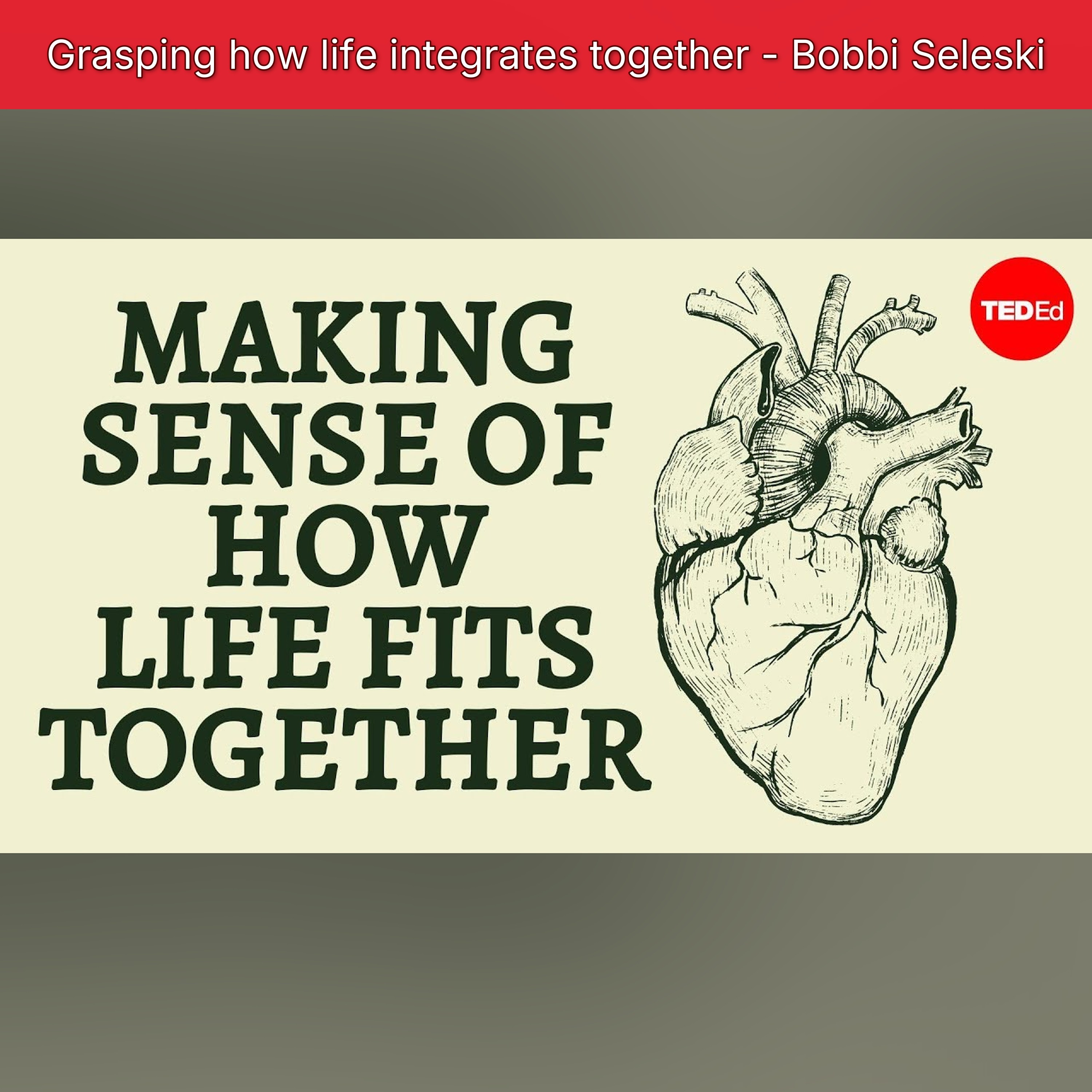 Grasping how life integrates together - Bobbi Seleski episode artwork