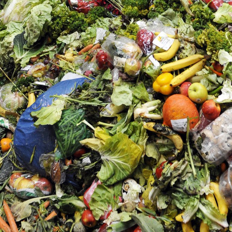 Composting to Fight Climate Change