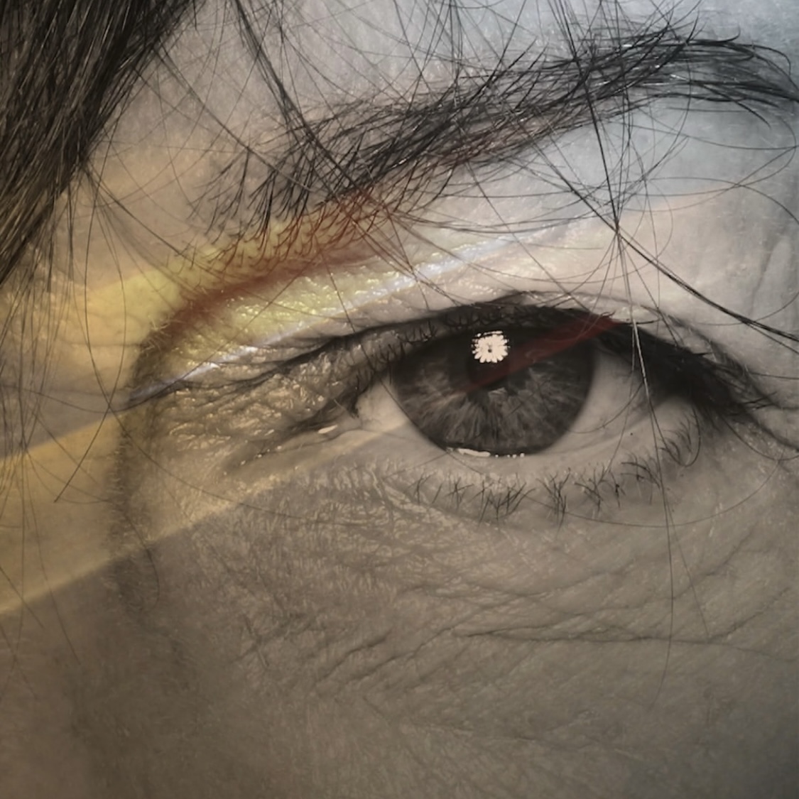 PANORAMA - GIANNA NANNINI episode artwork