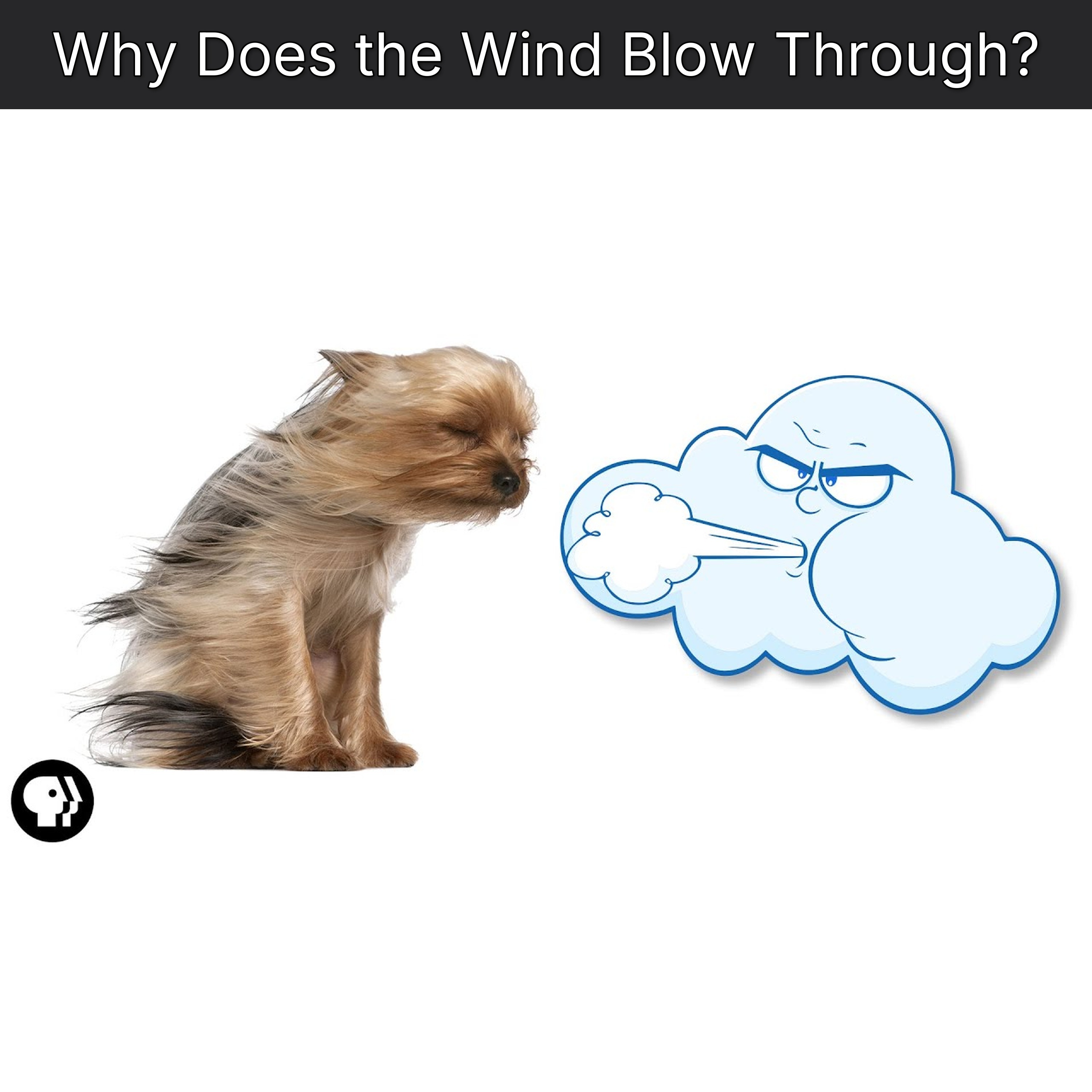 Why Does the Wind Blow Through? episode artwork