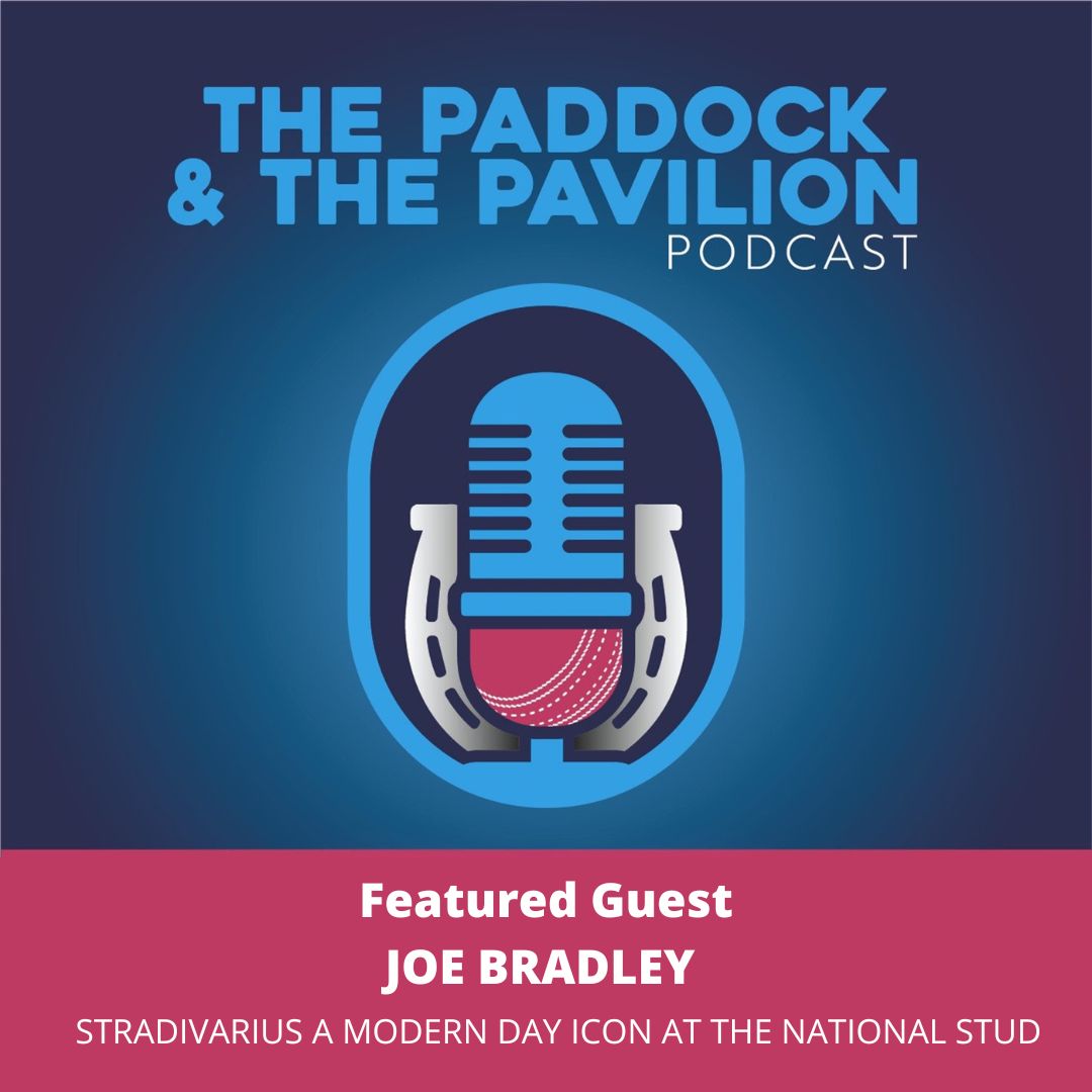 Ep 179 - Joe Bradley - Stradivarius - A modern day icon at The National Stud episode artwork