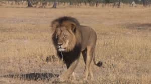 Troubadours and Raconteurs with E.W. Conundrum Demure - Conversation, Essays, Poetry & Music.