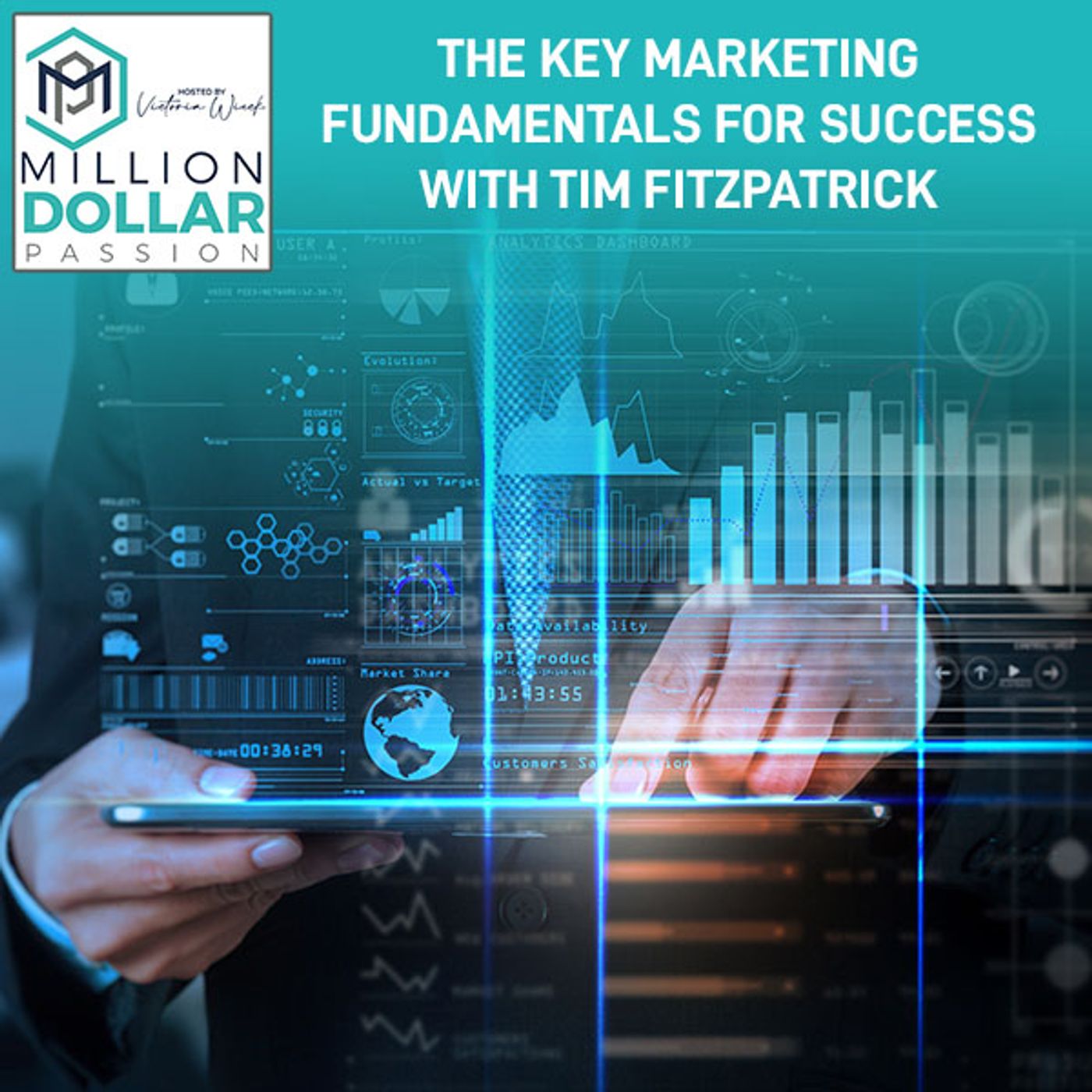 The Key Marketing Fundamentals For Success With Tim Fitzpatrick episode artwork