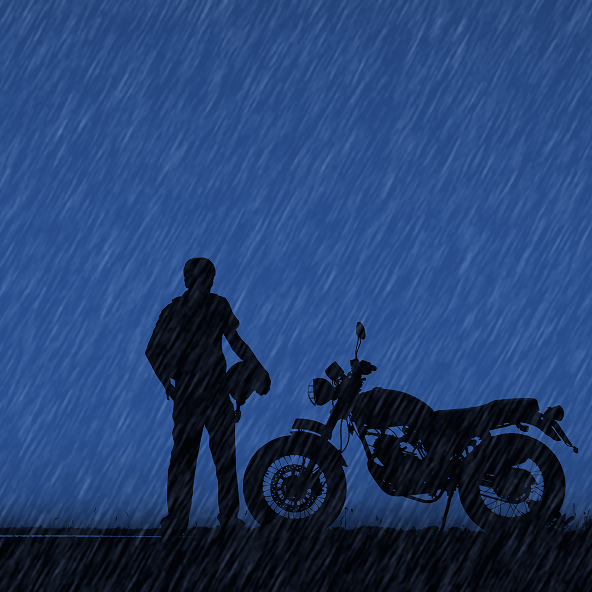 Thumbnail for "Meet Cute ".