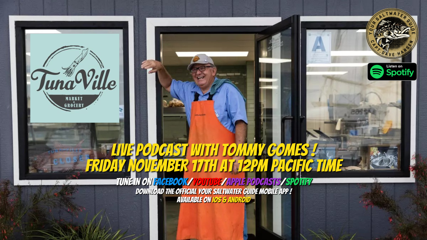 LIVE Podcast with Tommy Gomes! | Your Saltwater Guide w Dave Hansen #290