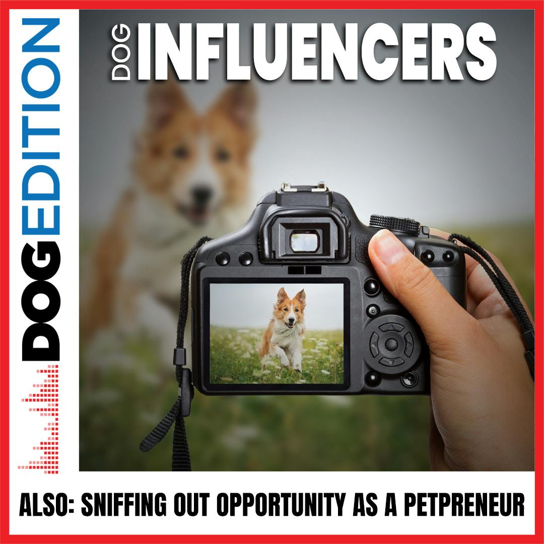 Dog Influencers | Sniffing Out Opportunity As A Petpreneur | Dog Edition #19