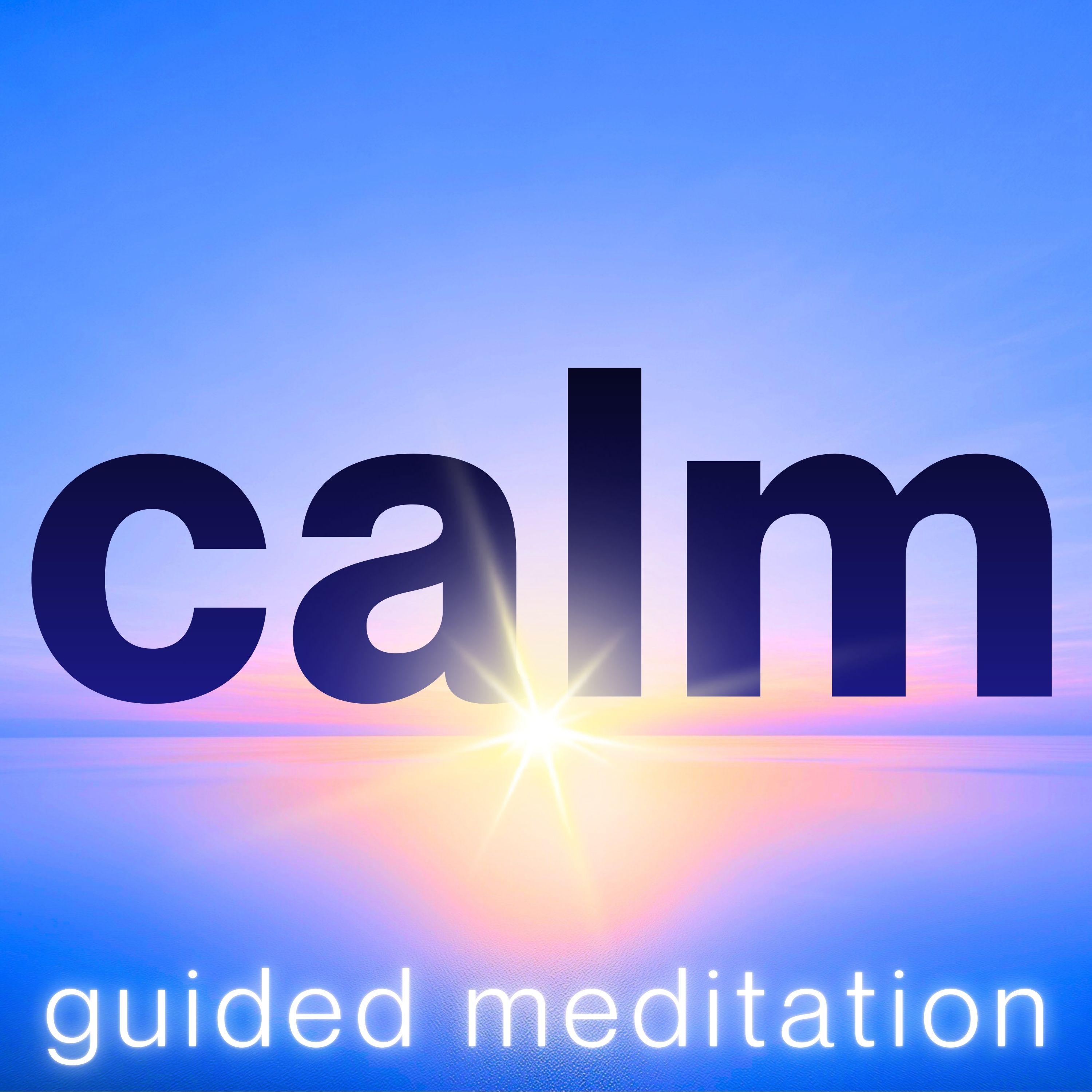 Reset & Calm Your Nervous System Guided Meditation | Vagus Nerve Reset