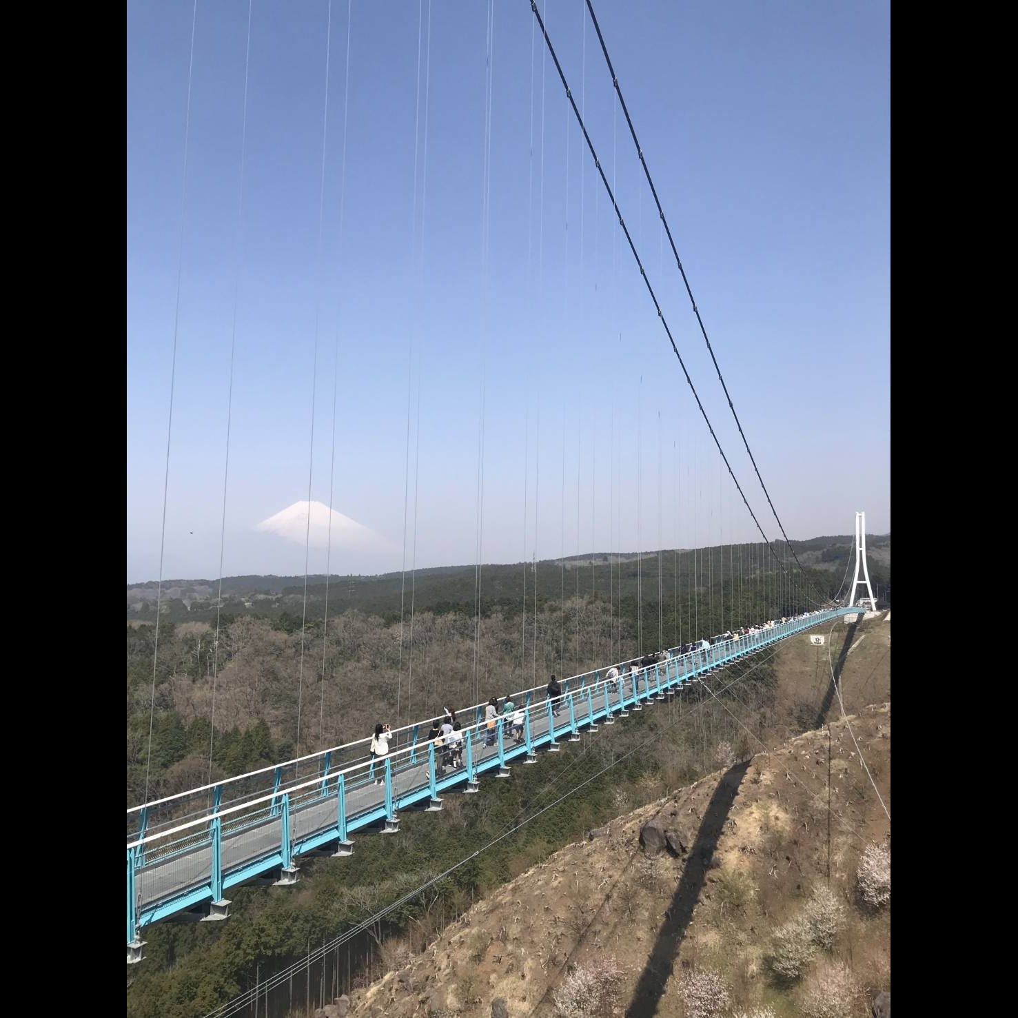 #63 リスナーさんオススメ「静岡県」で「自然を楽しめるとっておきの場所」 episode artwork